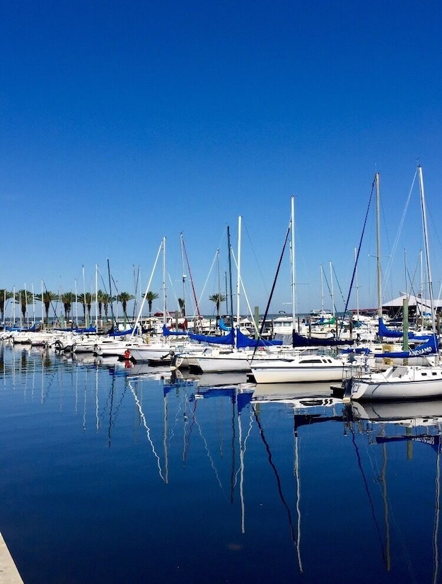 Boats lined up at the Sanford waterfront.