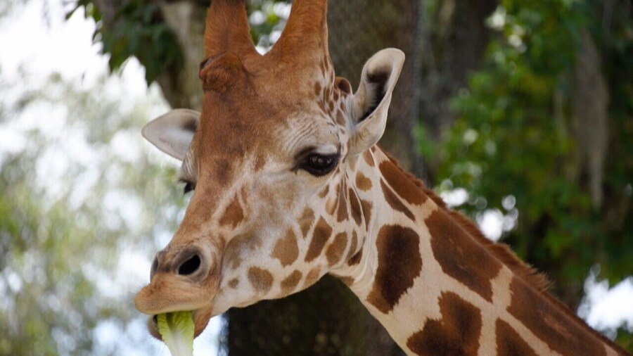 Great place to spend a relaxing day!