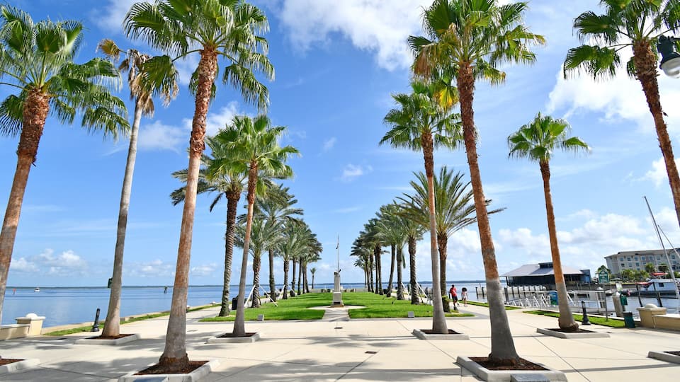 A promenade lined with palm trees, a clear sky, and a body of water in the distance.