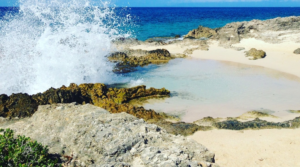 Sur la route de la pointe des chùteaux un lieu nommé La Douche. Les vagues en se fracassant sur les rochers éclaboussent les baigneurs, un vrai moment ludique et rafraßchissant.