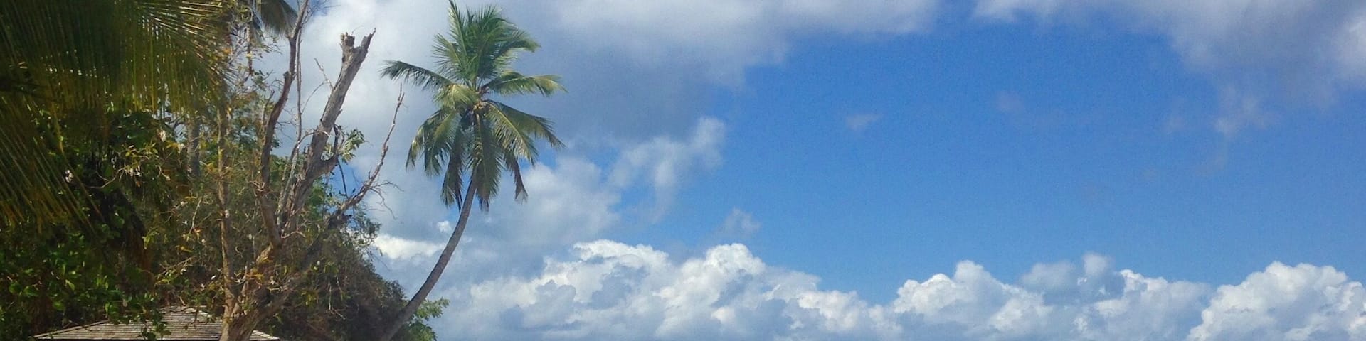 La plage du souffleur au petit matin