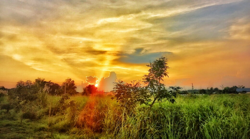 I was driving home when I saw this sunset view.