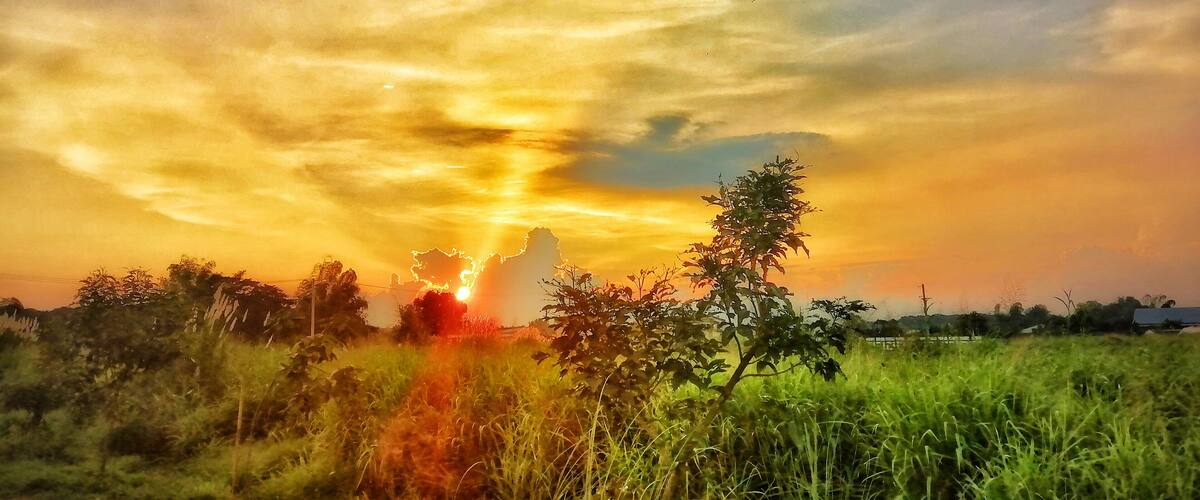 A sunset over a grassy field with trees and a distant building.