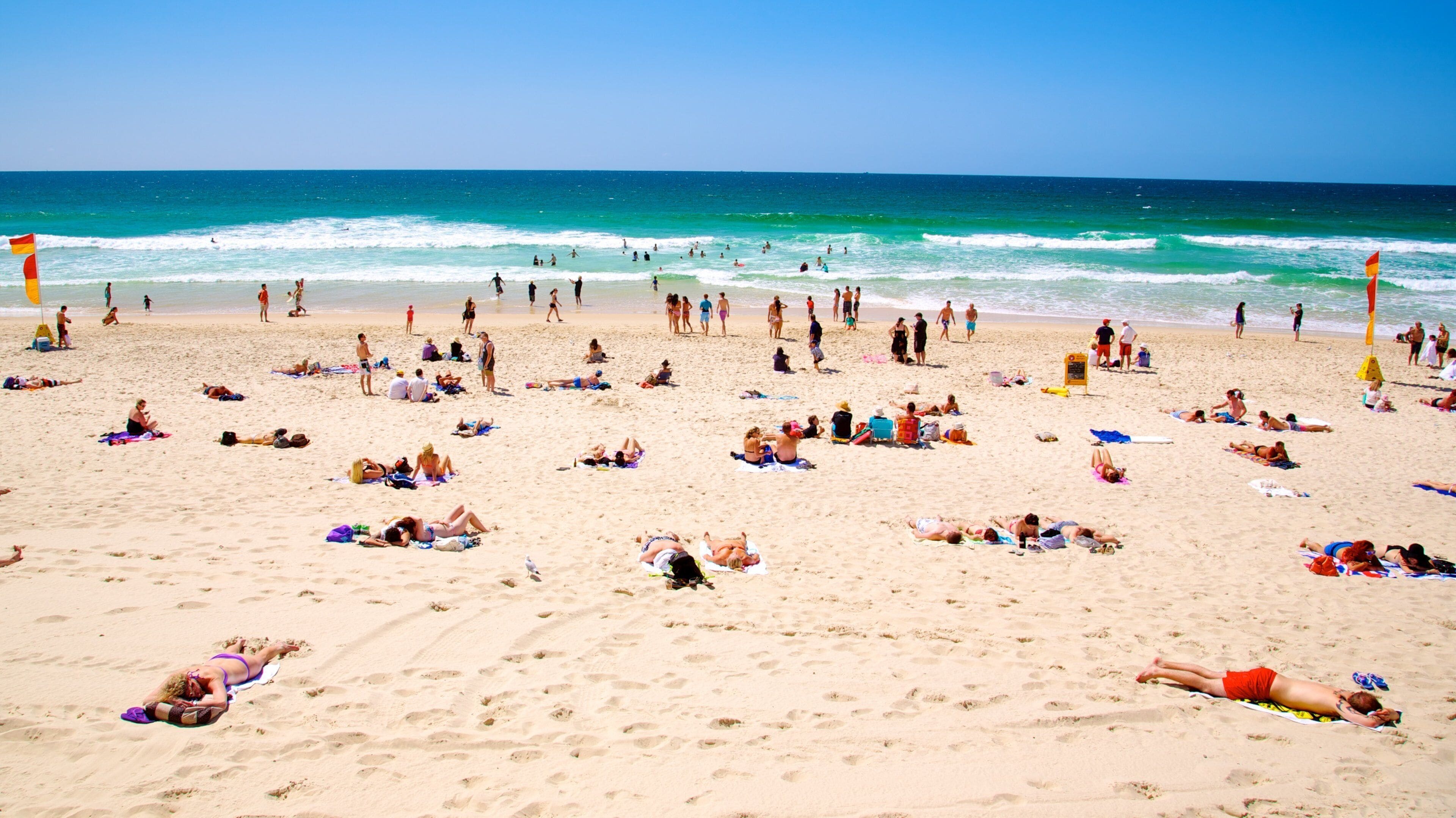 Surfers Paradise which includes a sandy beach and general coastal views as well as a large group of people