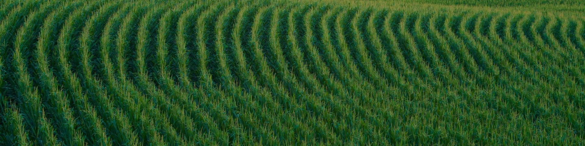 Dubuque showing tranquil scenes, a sunset and landscape views