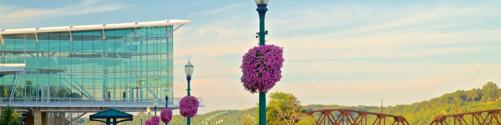 Dubuque showing flowers, modern architecture and a bridge