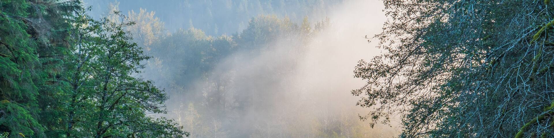 A river flowing through a forested valley with mist rising from the water, surrounded by dense trees and hills in the background.
