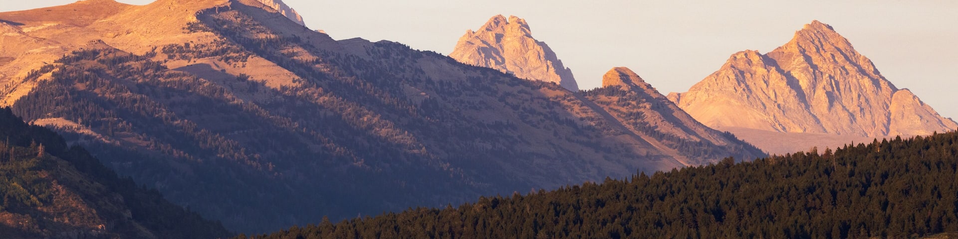 A mountain range with prominent peaks and a forested foreground.