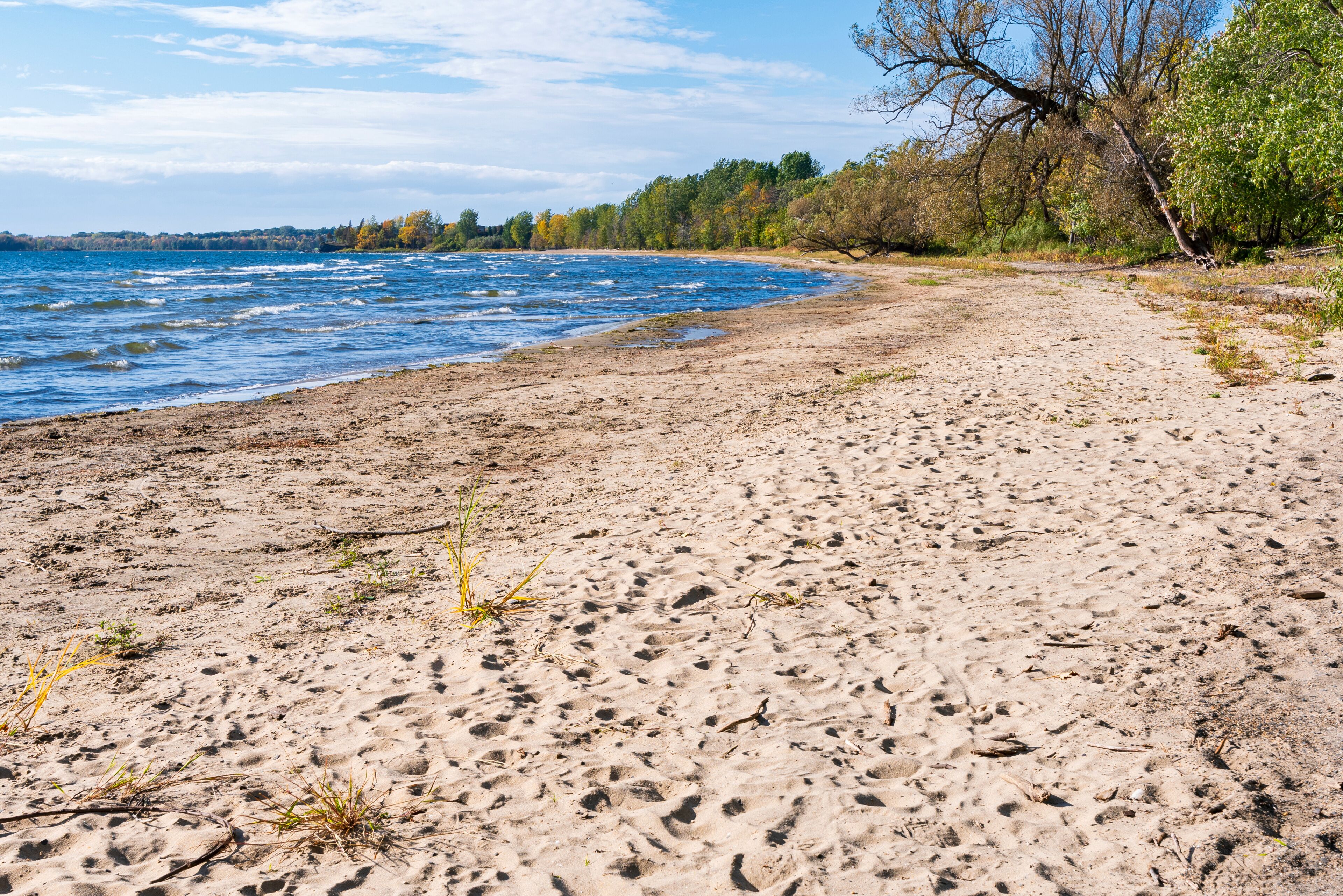 sandy shores of lake champlain at alburgh dunes state park