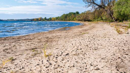 sandy shores of lake champlain at alburgh dunes state park