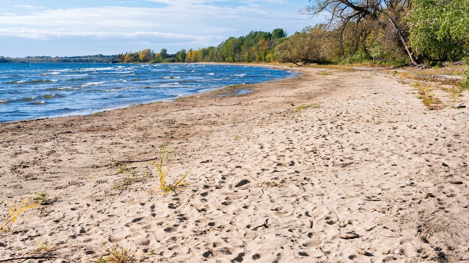 A sandy beach with footprints, a calm river, and trees in the background.