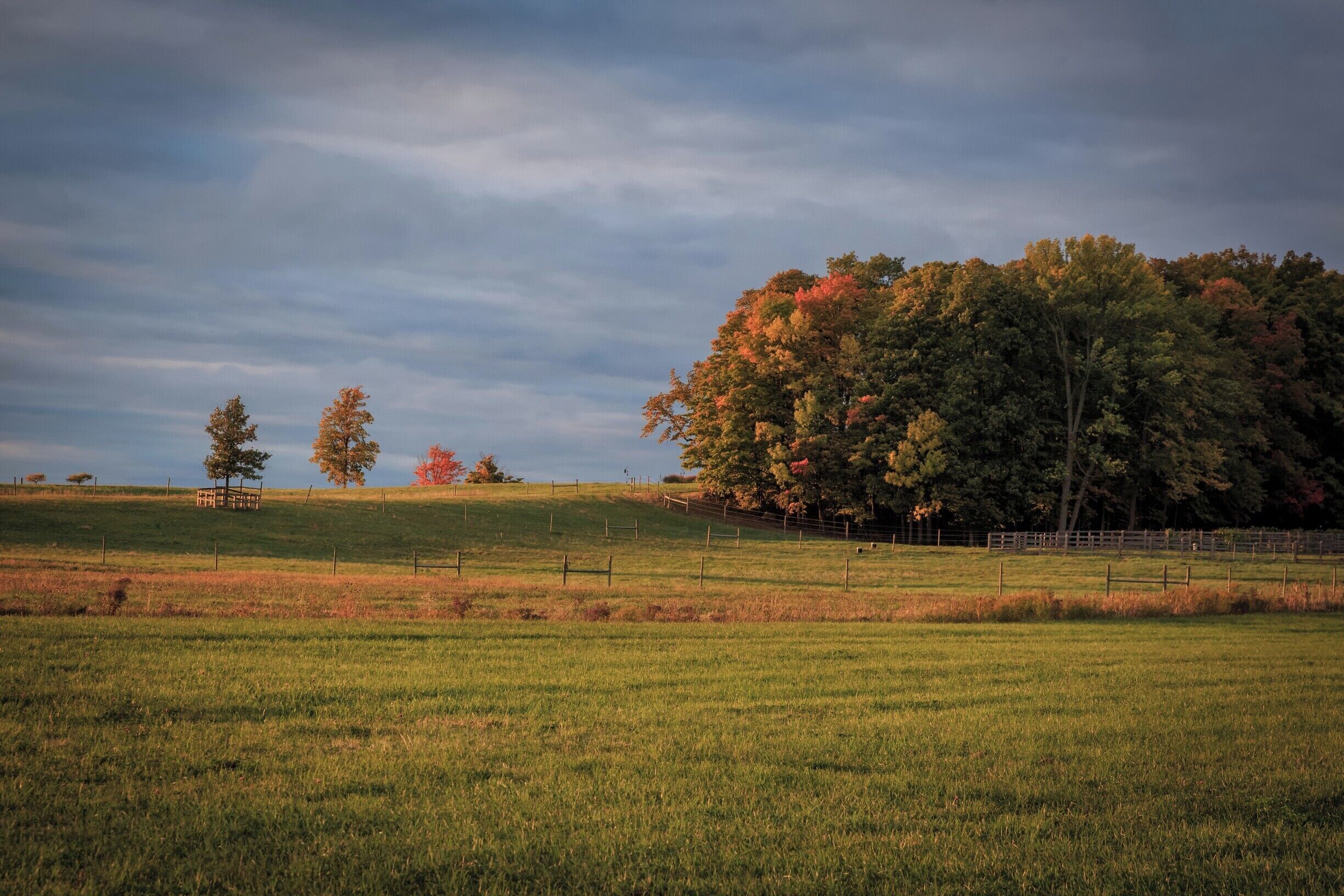 During a late afternoon walk to Lake Champlain, I captured this image of the soft light on the trees overlooking the Lake. 