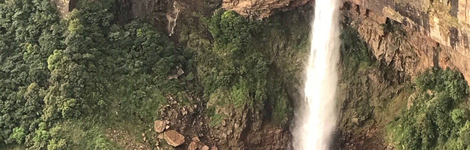Una cascada se precipita por un acantilado rocoso rodeado de exuberante vegetación.