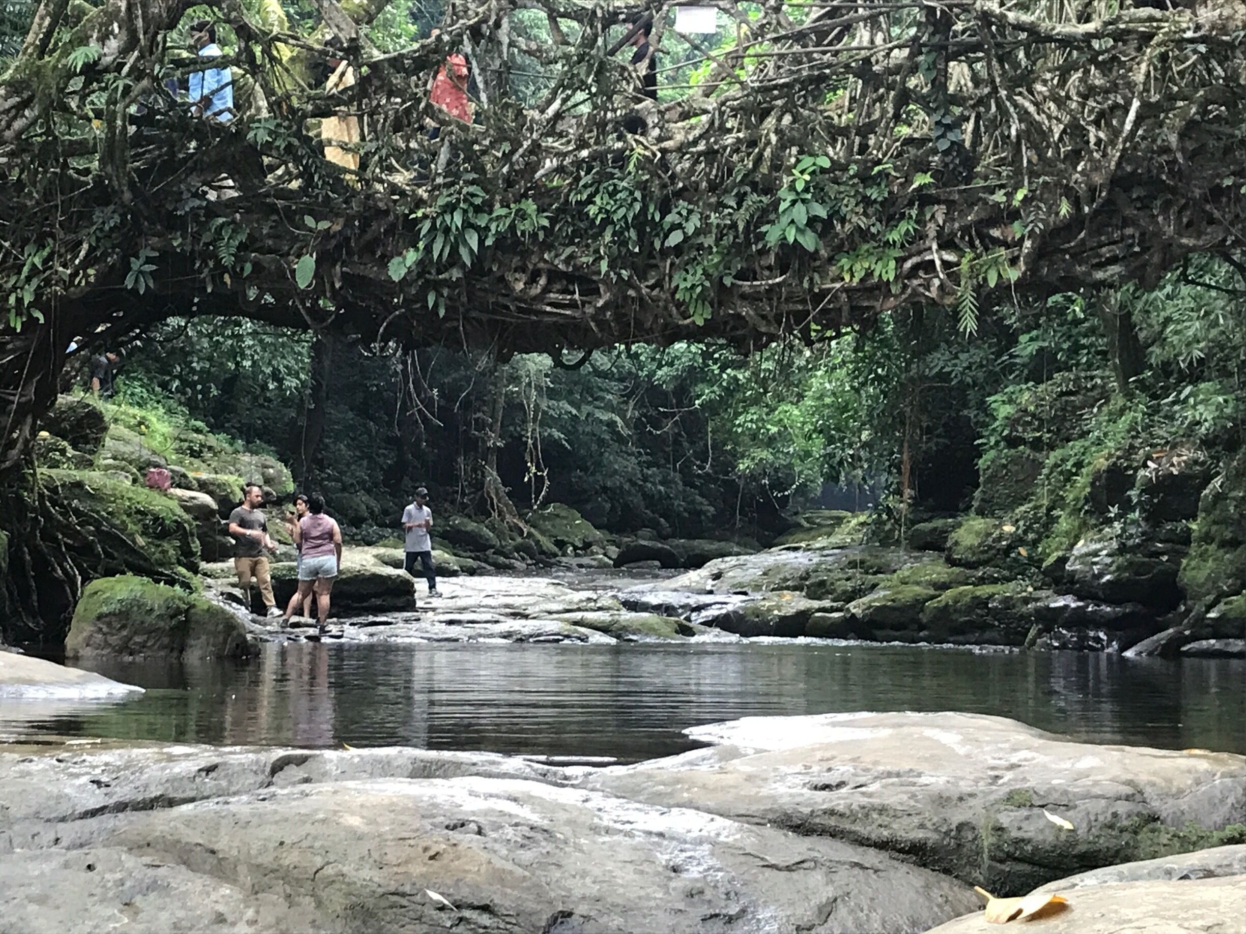 A rocky riverbed with a small stream, surrounded by dense greenery and trees.