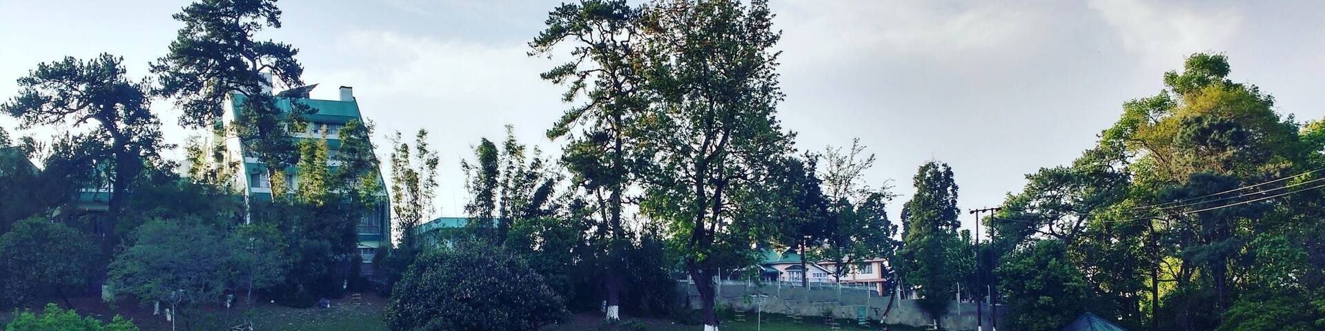 Ward's lake Shillong