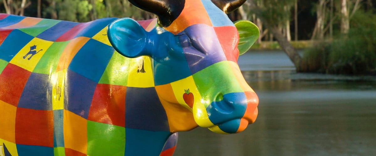 Shepparton showing outdoor art