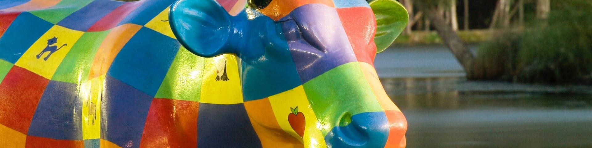 Shepparton showing outdoor art