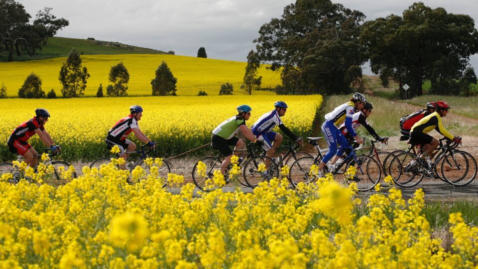 Shepparton featuring wildflowers and road cycling as well as a small group of people