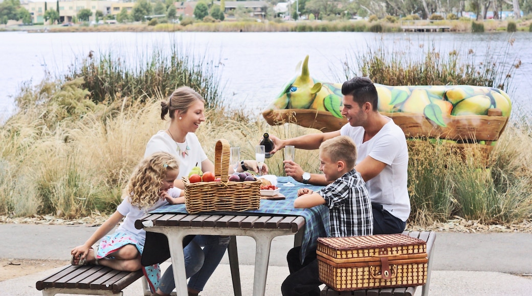 Shepparton showing food and picnicing as well as a family