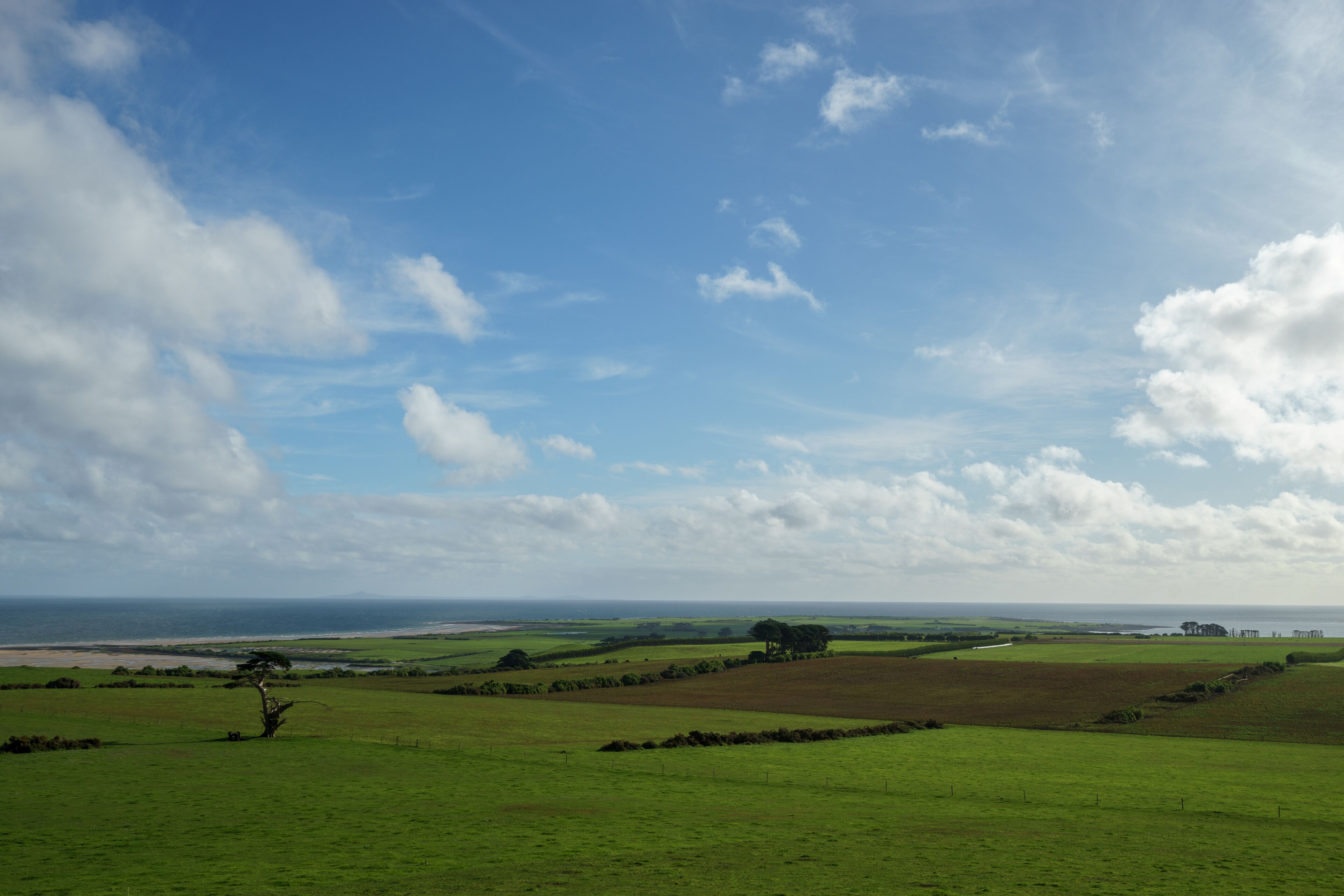 A coastal landscape with green fields, a tree, and a distant view of the ocean under a partly cloudy sky.