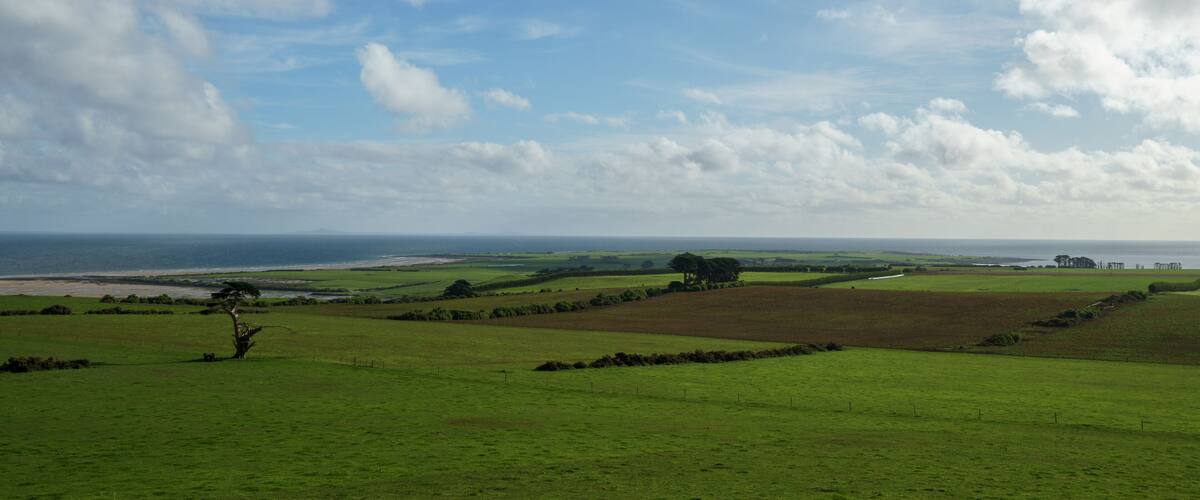 A coastal landscape with green fields, a tree, and a distant view of the ocean under a partly cloudy sky.