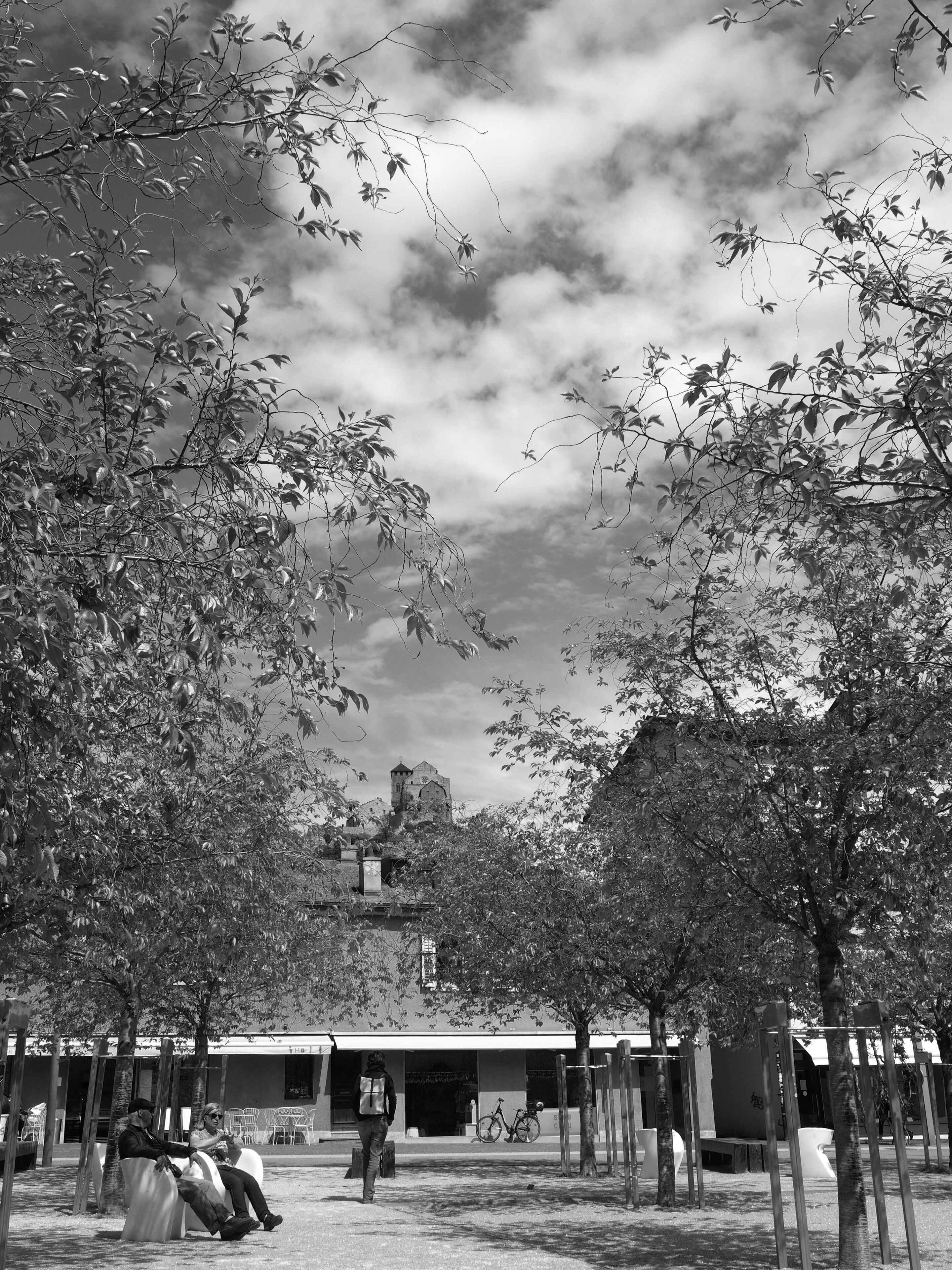A park with trees, benches, and a building with a tower.