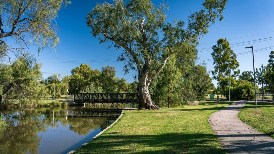 A park with a pond, a walking path, and a bridge.
