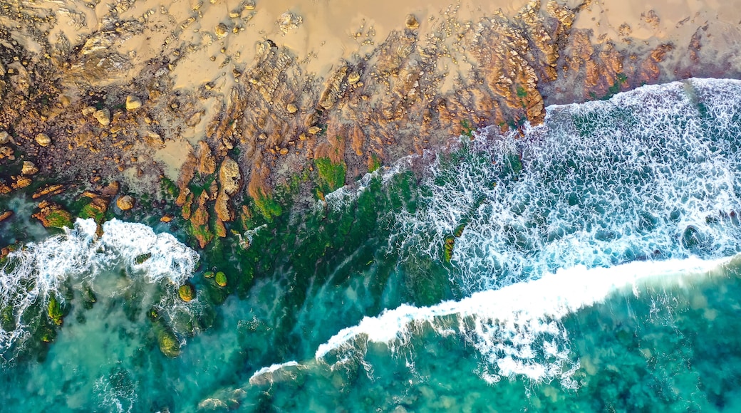Laguna Niguel