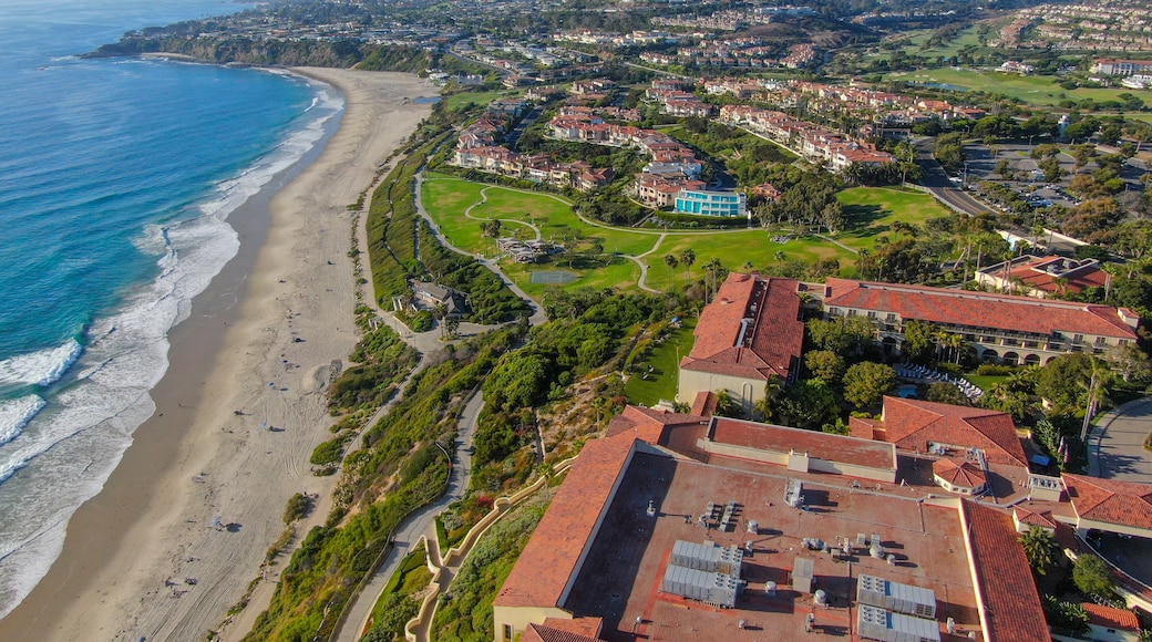 Aerial view of Monarch beach coastline