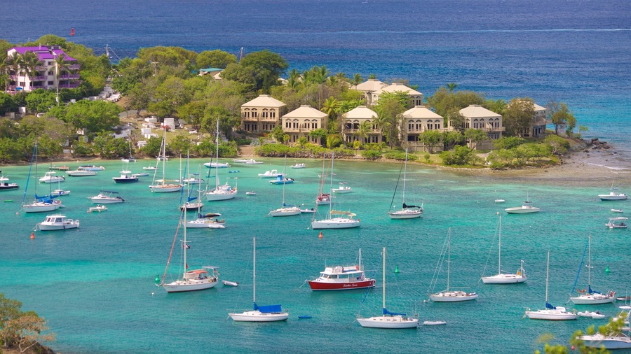 Cruz Bay showing general coastal views, tropical scenes and a bay or harbor