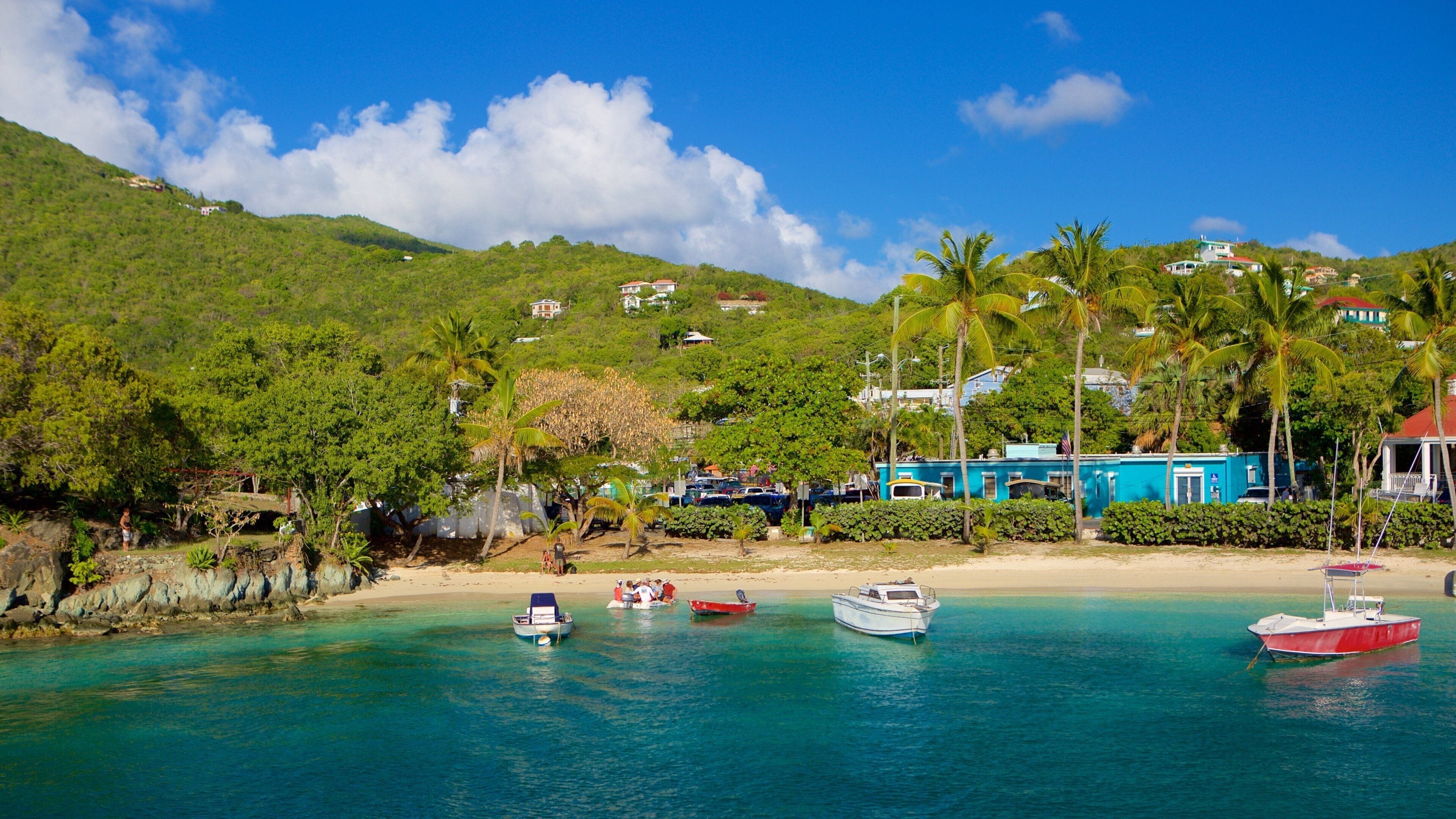 Cruz Bay which includes a coastal town and a sandy beach