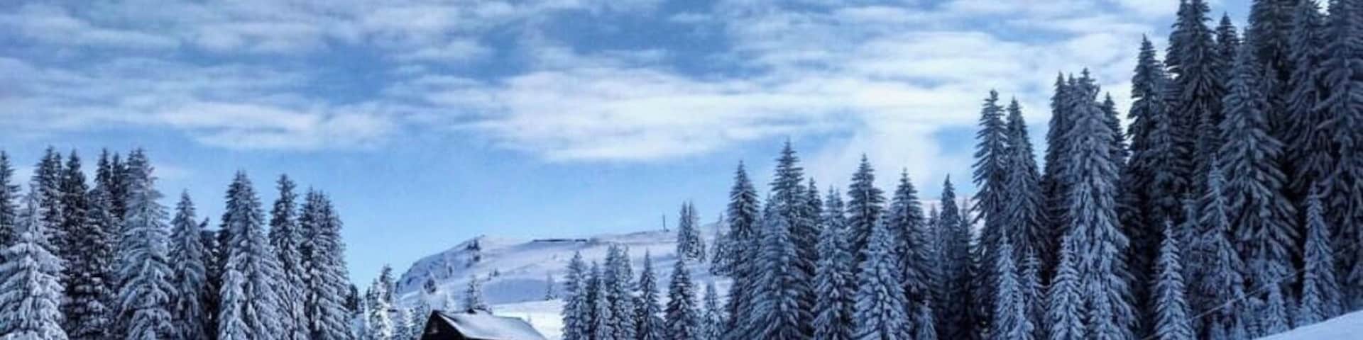 Paisagem coberta de neve com uma cabana de madeira e densas árvores perenes.