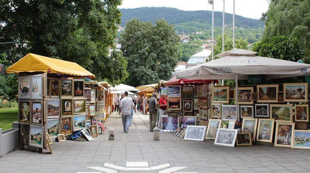 Park in the center of Sarajevo, BiH capital, where Winter Olympic Games were held 1984.
The Symbols of the Games is the snowflake