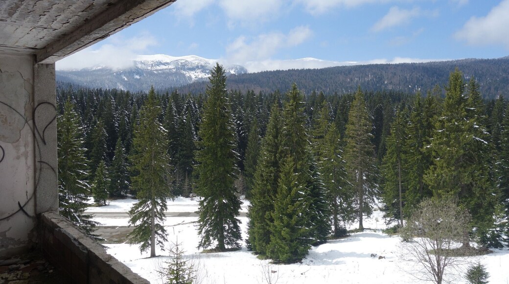 View of the surrounding landscape, photo taken in one of the vandalized rooms of Hotel Igman. #abandoned