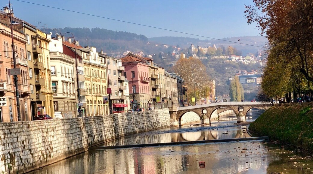 View of the Latin Bridge
