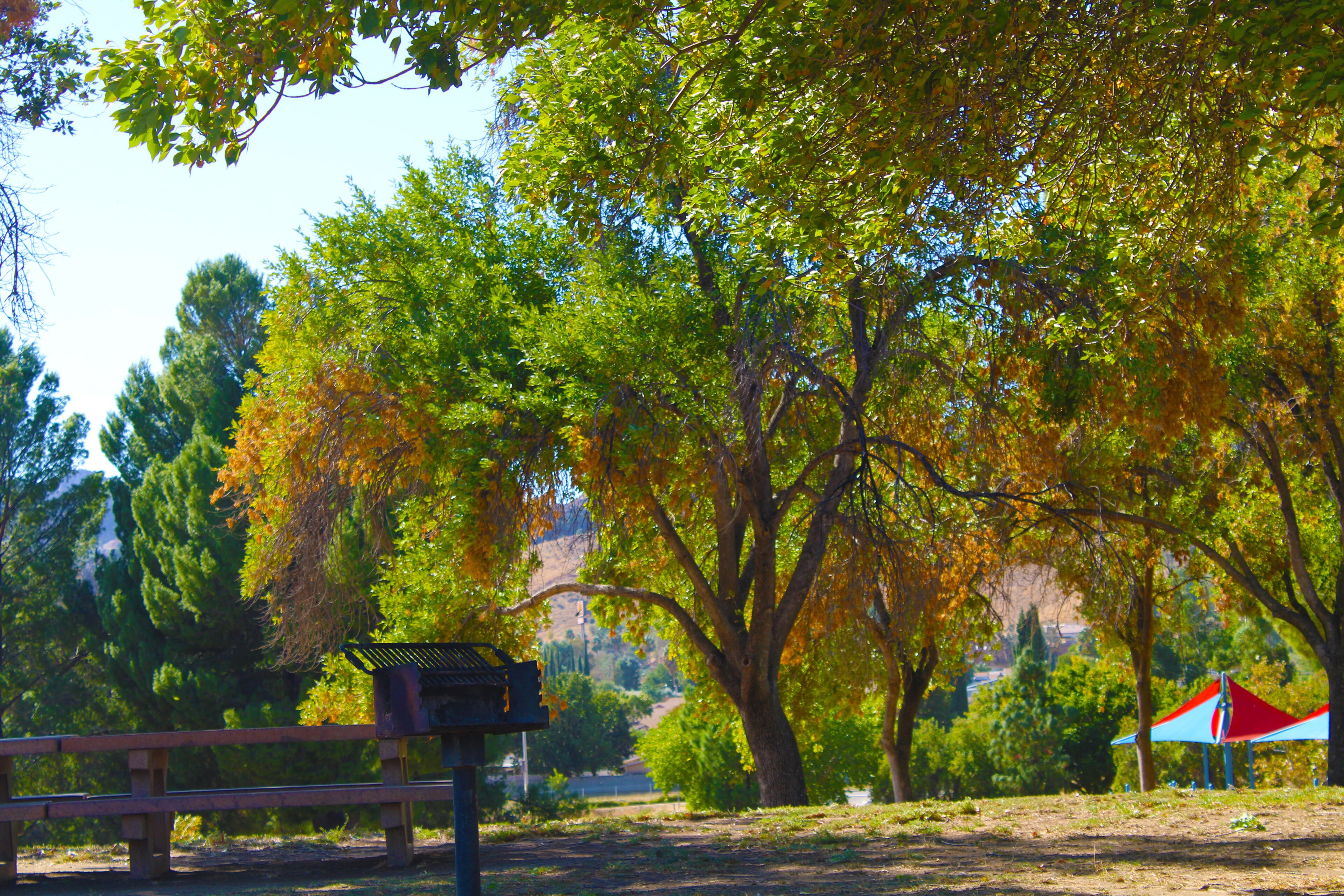 a gorgeous autumn landscape at the lake with lush green trees and autumn colored trees at Lake Castaic in Castaic California USA