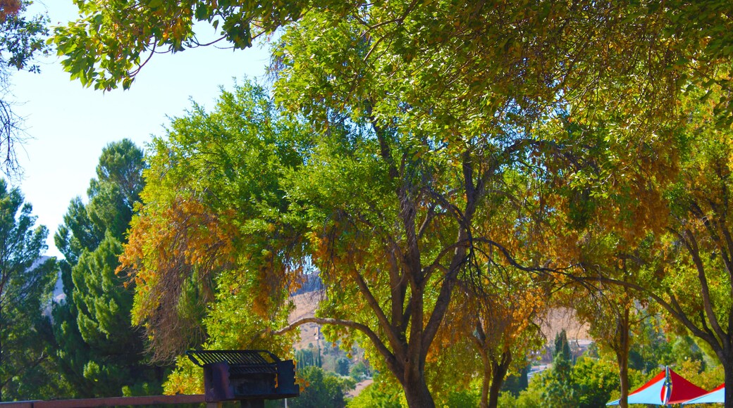 a gorgeous autumn landscape at the lake with lush green trees and autumn colored trees at Lake Castaic in Castaic California USA