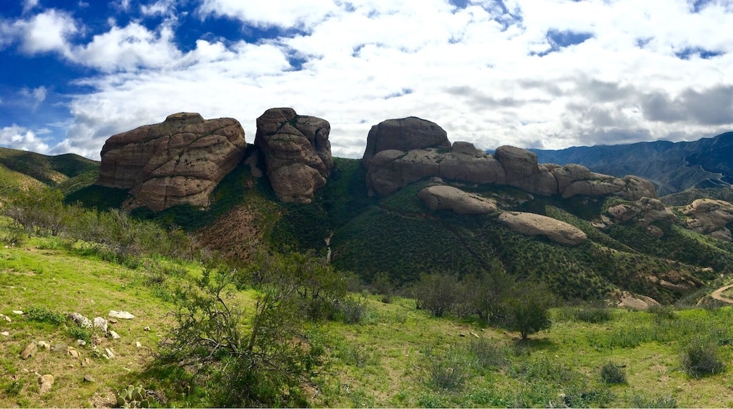 Located in Agua Dulce. Had to hike 5 miles to reach it.