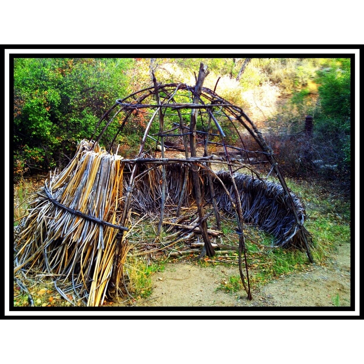 Located just 50 yards off the Ecology trailhead lies this remnant of indigineous shelter.