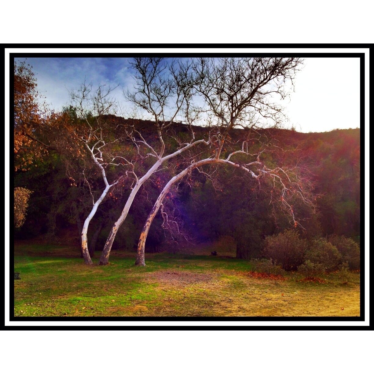 However the excursion wasn't a total waste of time as there are plenty of trails and scenic spots.