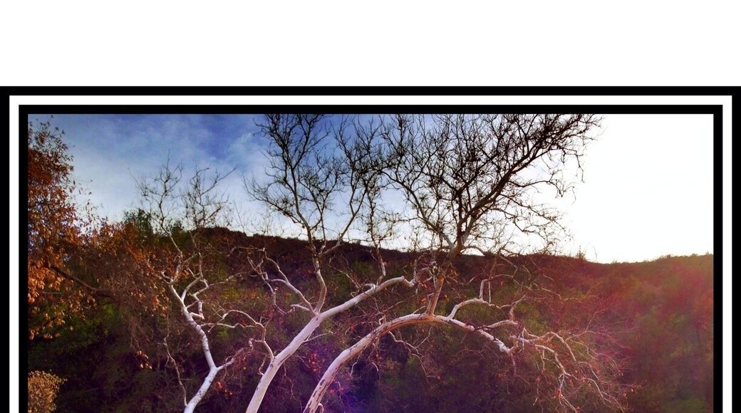 However the excursion wasn't a total waste of time as there are plenty of trails and scenic spots.