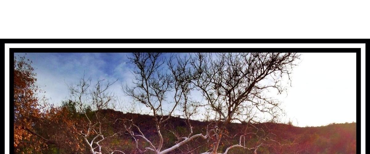 However the excursion wasn't a total waste of time as there are plenty of trails and scenic spots.