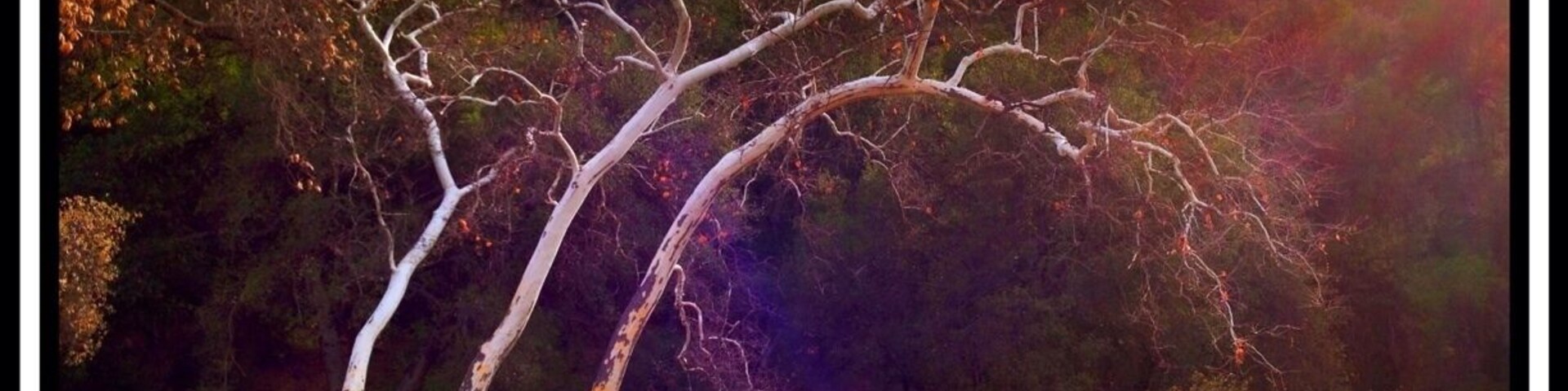 However the excursion wasn't a total waste of time as there are plenty of trails and scenic spots.