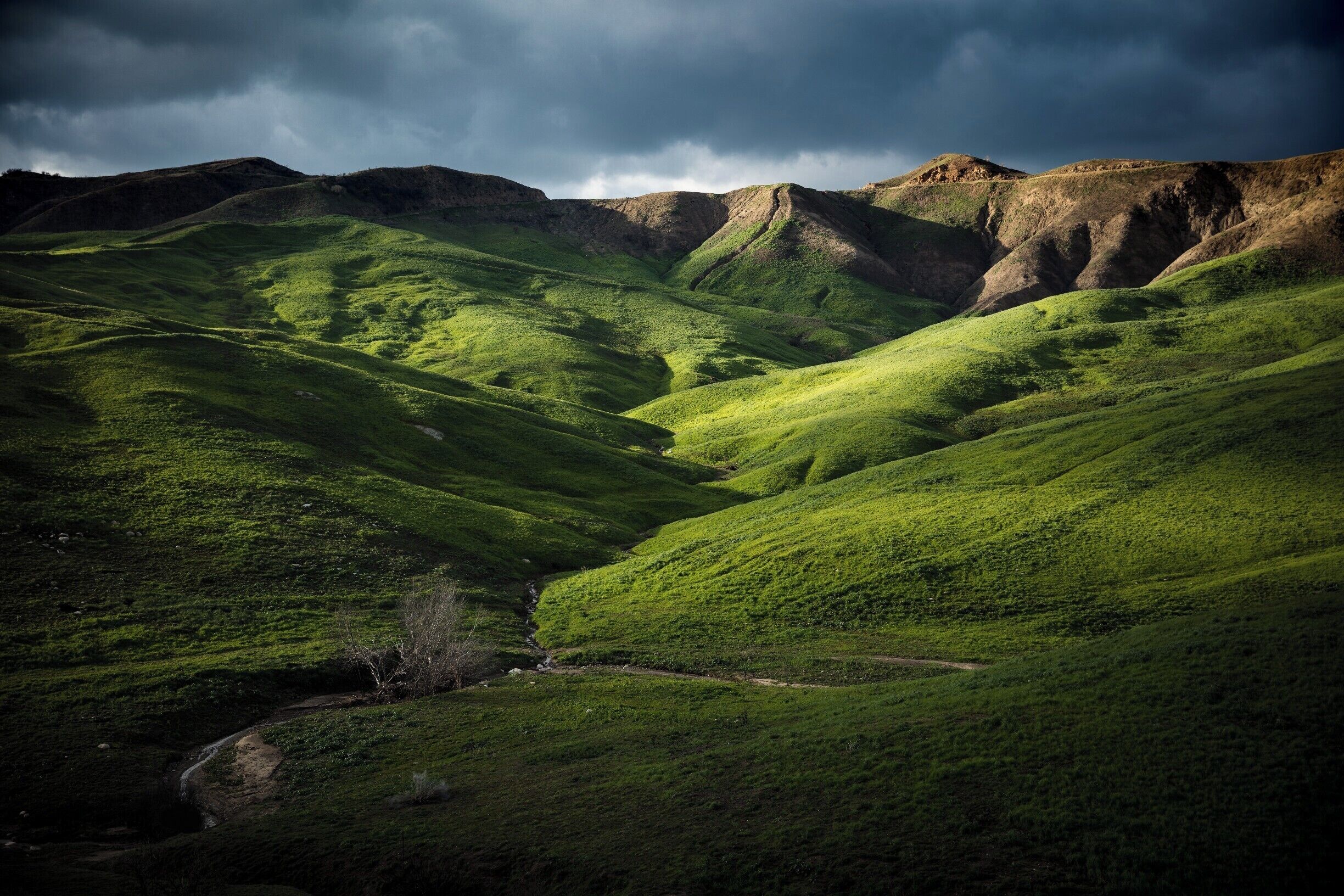 The unusual amount of rain made this area a wonderland of green.

#TroveOn
#StunningStructures
#FindingtheUniverse
#artvin #sefayamak #beautifuldestinations #igtravel #passionpassport #wonderful_places #landscapephotography #landscapes #natgeotravel #travelphoto #bestvacations #ourplanetdaily #stayandwonder #breathtaking #landscapelovers #traveldeeper #wonderlust #amazingview #worldplaces #bbctravel #beautifulplaces #nakedplanet #citybestpics #earthofficial #tasteintravel #turkeyday #discoverglobe #worldtravelpics #mountains #gooutside