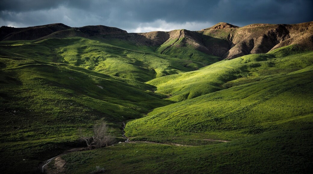 The unusual amount of rain made this area a wonderland of green.
#TroveOn
#StunningStructures
#FindingtheUniverse
#artvin #sefayamak #beautifuldestinations #igtravel #passionpassport #wonderful_places #landscapephotography #landscapes #natgeotravel #travelphoto #bestvacations #ourplanetdaily #stayandwonder #breathtaking #landscapelovers #traveldeeper #wonderlust #amazingview #worldplaces #bbctravel #beautifulplaces #nakedplanet #citybestpics #earthofficial #tasteintravel #turkeyday #discoverglobe #worldtravelpics #mountains #gooutside