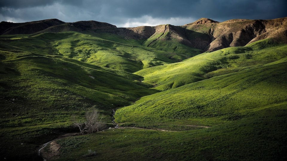 Rolling green hills with a valley and a stream.