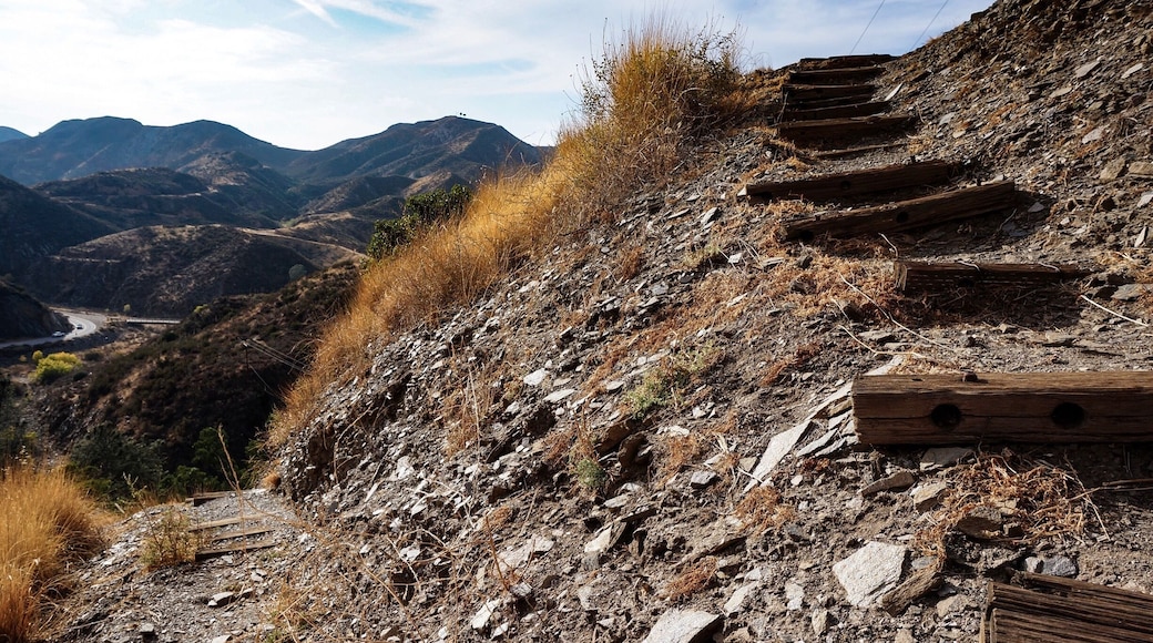 A cool railroad tie staircase that leads up behind the San Francisquito Canyon Water Plant. It connects with Drinkwater Canyon Trail and eventually to the PCT. there’s also a lake reservoir up there.