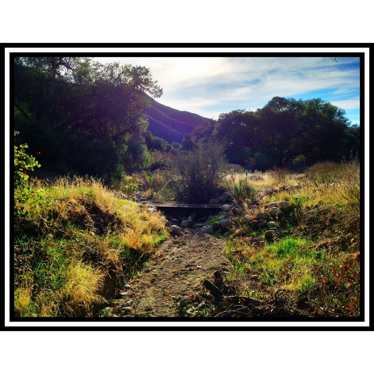 I couldn't quite get in the position I wanted as there was something rattling a few yards ahead.  Warning heeded!