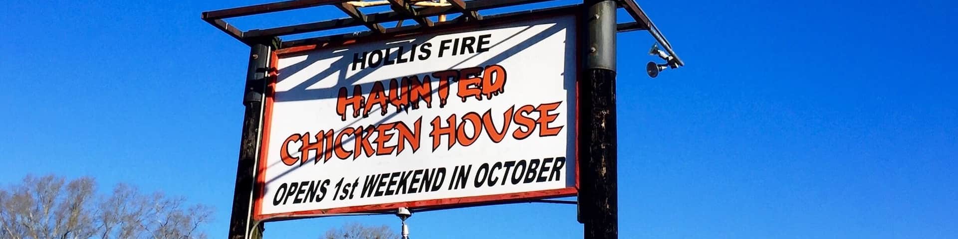 You just never know what you may see around the next curve in the road!!!