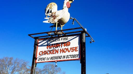 You just never know what you may see around the next curve in the road!!!